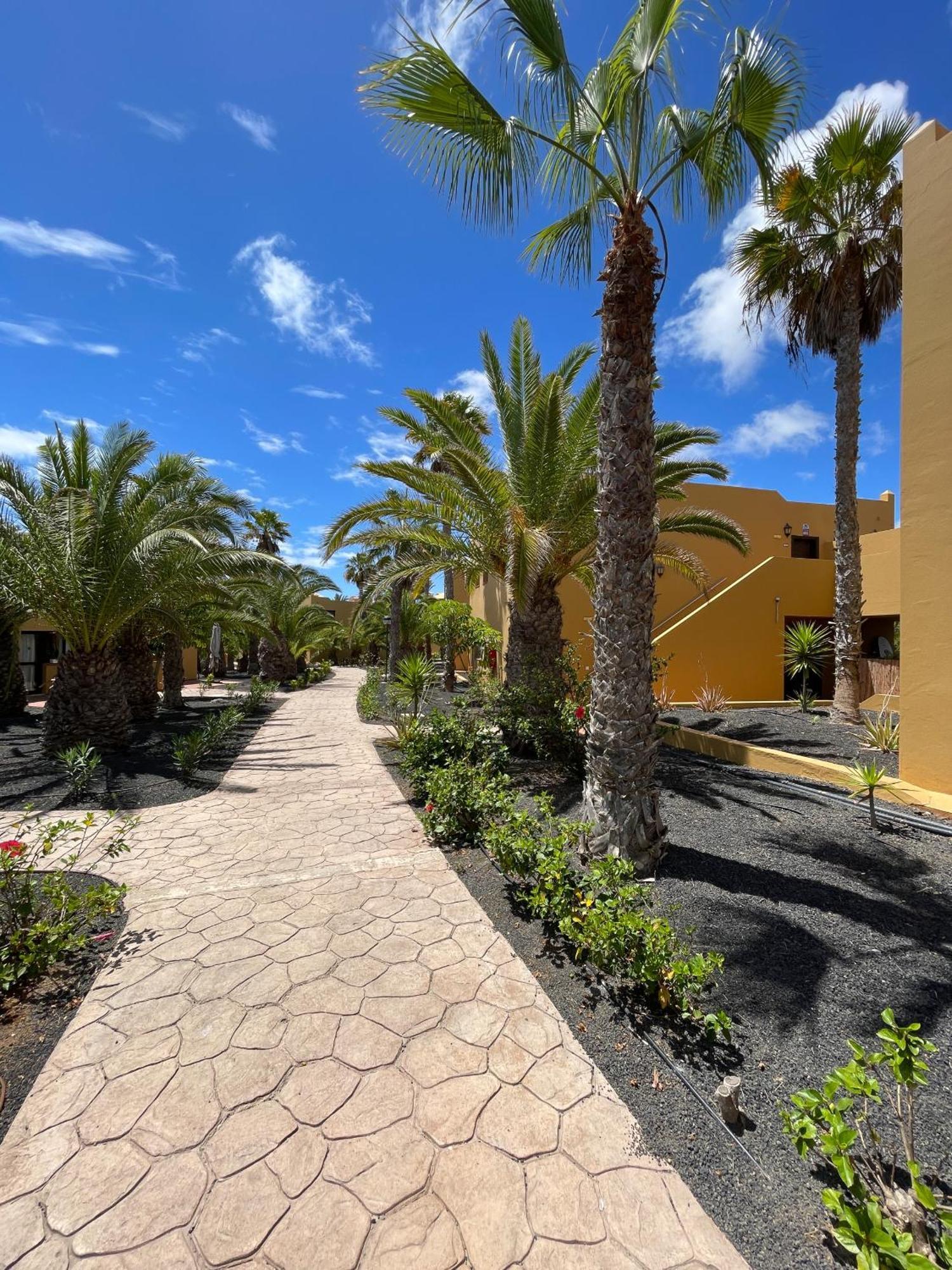 コラレホB-Rent Casa Angela Pool Viewアパートメント エクステリア 写真