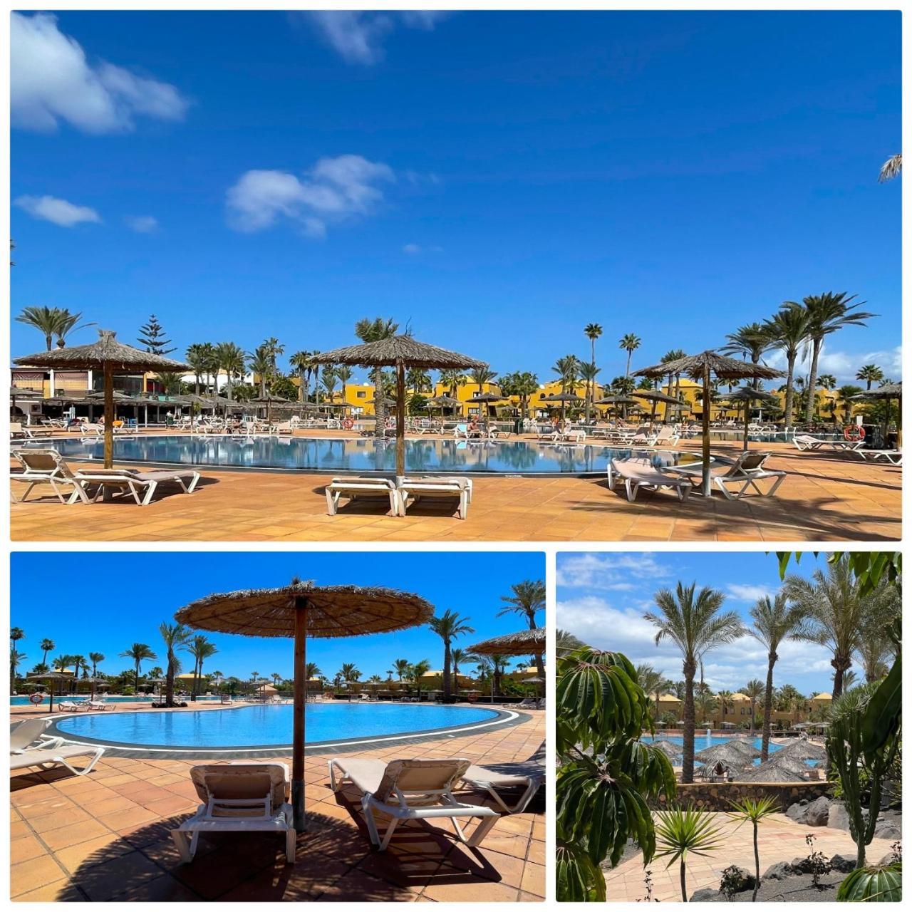 コラレホB-Rent Casa Angela Pool Viewアパートメント エクステリア 写真